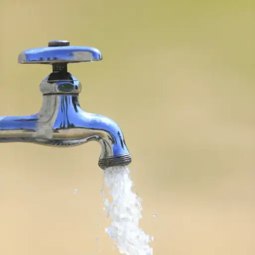 Reducing Non-Revenue Water through Leak Detection